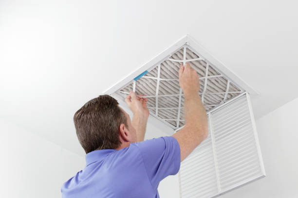 Best Home Air Vent Cleaning  in Nederland, CO